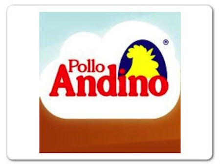 www.polloandino.com