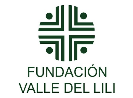 www-valledellili-org